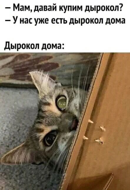 — Мам, давай купим дырокол? — У нас уже есть дырокол дома Дырокол дома: