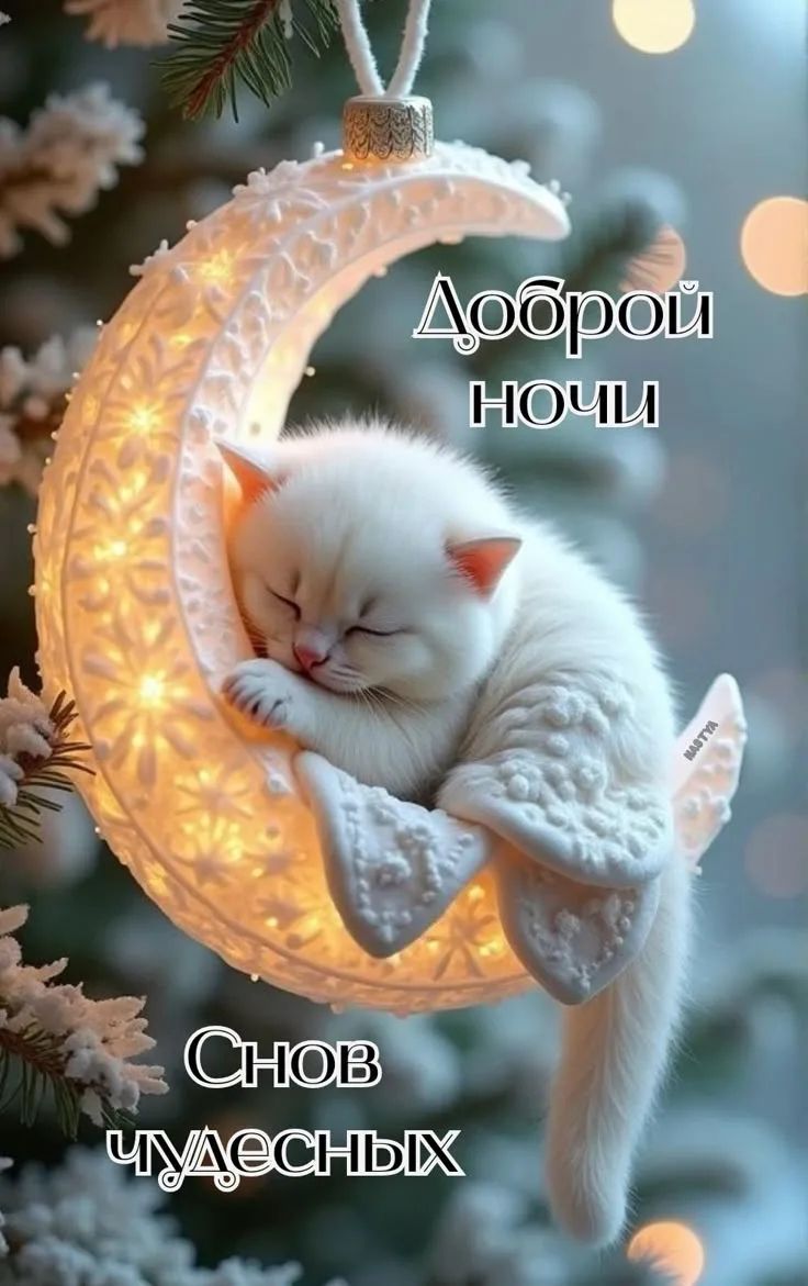 Доброй ночи
Снов чудесных