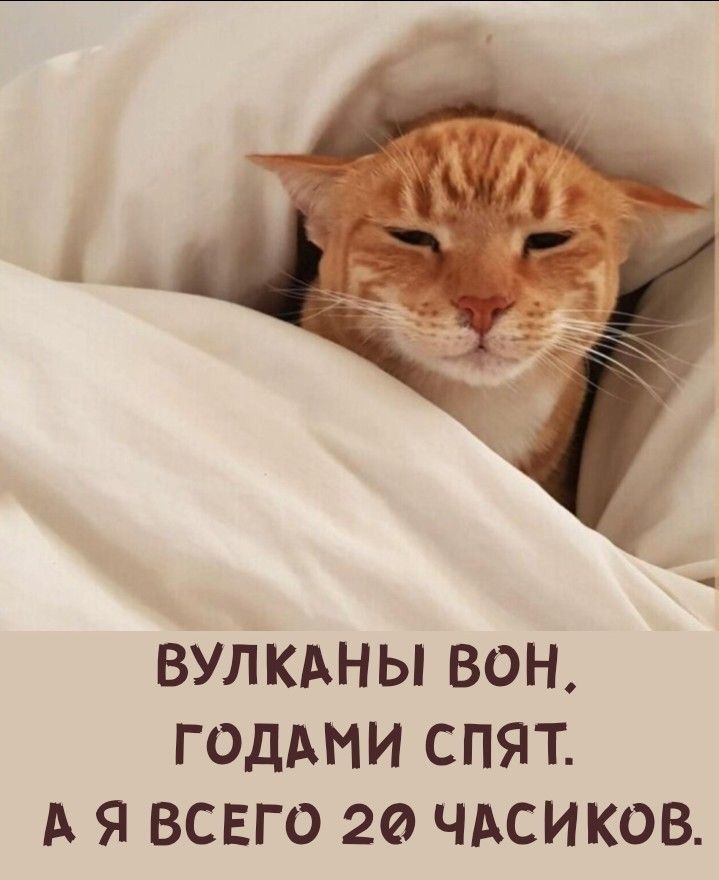 ВУЛКАНЫ ВОН. ГОДАМИ СПЯТ. А Я ВСЕГО 20 ЧАСИКОВ.