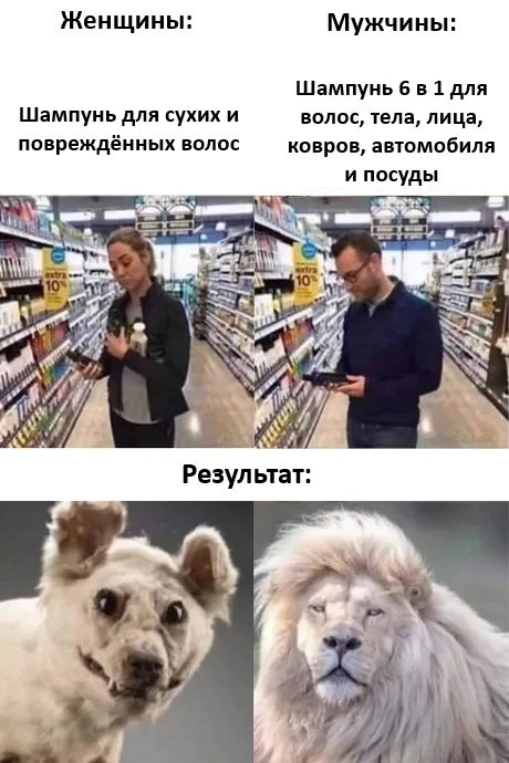 Женщины: Шампунь для сухих и повреждённых волос\nМужчины: Шампунь 6 в 1 для волос, тела, лица, ковров, автомобиля и посуды\nРезультат:
