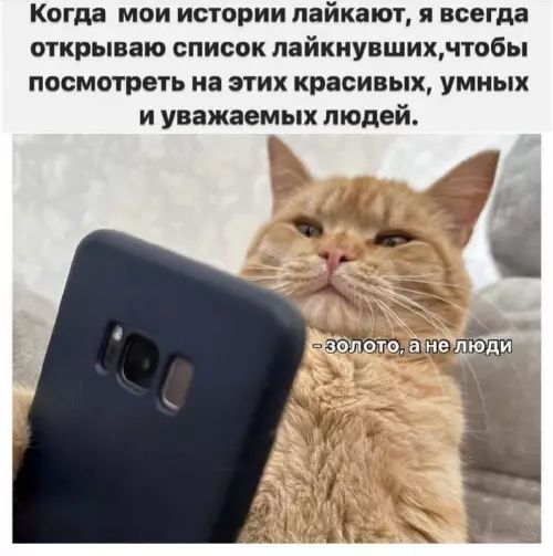 Когда мои истории лайкают, я всегда открываю список лайкнувших, чтобы посмотреть на этих красивых, умных и уважаемых людей. — золото, а не люди