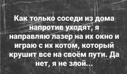 Как только соседи из дома напротив уйдут, я направляю лазер на их окно и играю с их котом, который рушит все на своём пути. Да нет, я не злой..