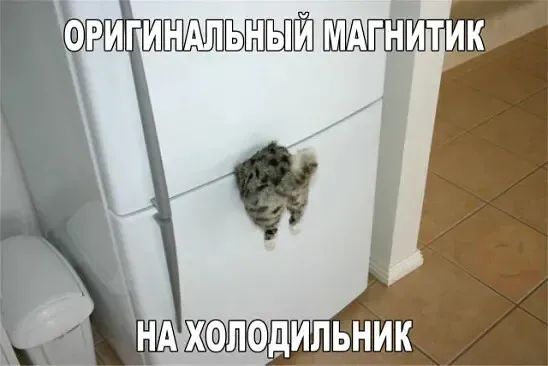 ОРИГИНАЛЬНЫЙ МАГНИТИК\nНА ХОЛОДИЛЬНИК