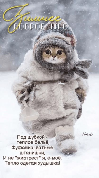 Под шубкой - тёплое бельё, фуфайка, ватные штаны, И не 