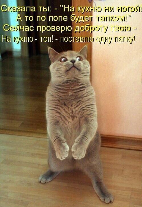 Сказала ты: - На кухню ни ногой - А то по полу будет тапком! Сейчас проверю доброту твою - На кухню топ! - поставлю одну лайку!