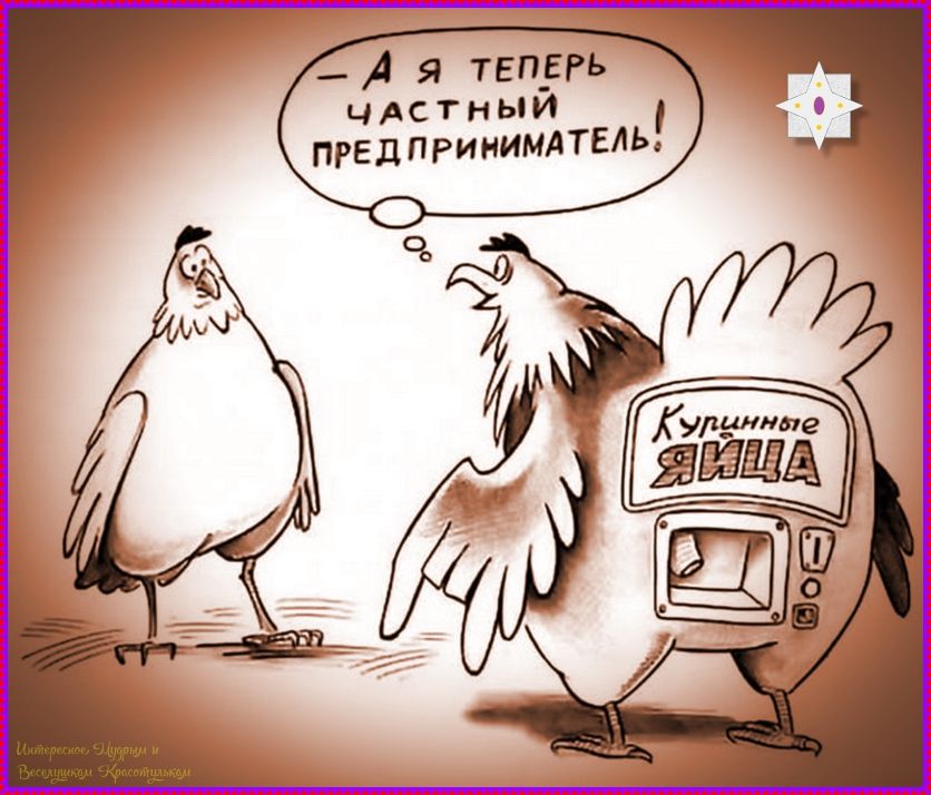- А Я ТЕПЕРЬ ЧАСТНЫЙ ПРЕДПРИНИМАТЕЛЬ! Куриные яйца