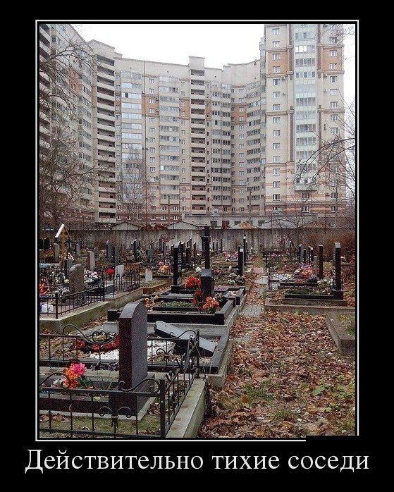 Действительно тихие соседи