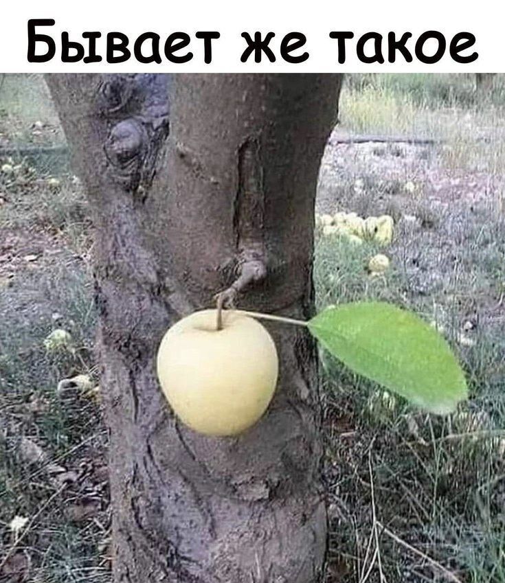 Бывает же такое