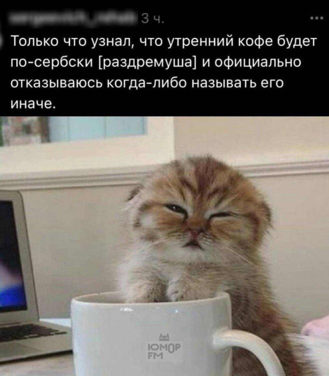 Только что узнал, что утренний кофе будет по-сербски [раздремушка] и официально отказываюсь когда-либо называть его иначе.