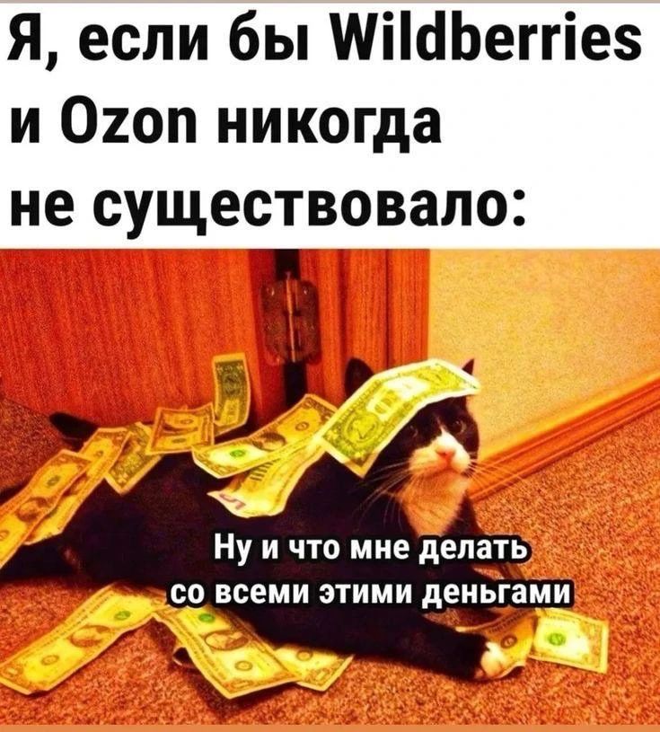 Я, если бы Wildberries и Ozon никогда не существовало:

Ну и что мне делать со всеми этими деньгами