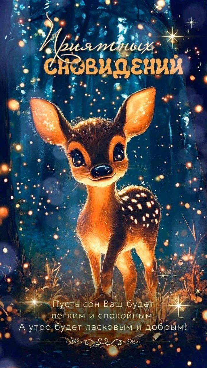 Приятных сновидений
Пусть сон Ваш будет лёгким и спокойным, А утром будет ласковым и добрым!