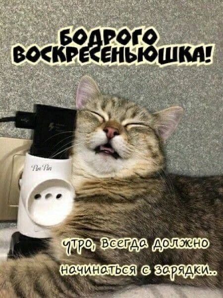 Бодрого воскресеньюшка! Утро, всегда должно начинаться с зарядки..