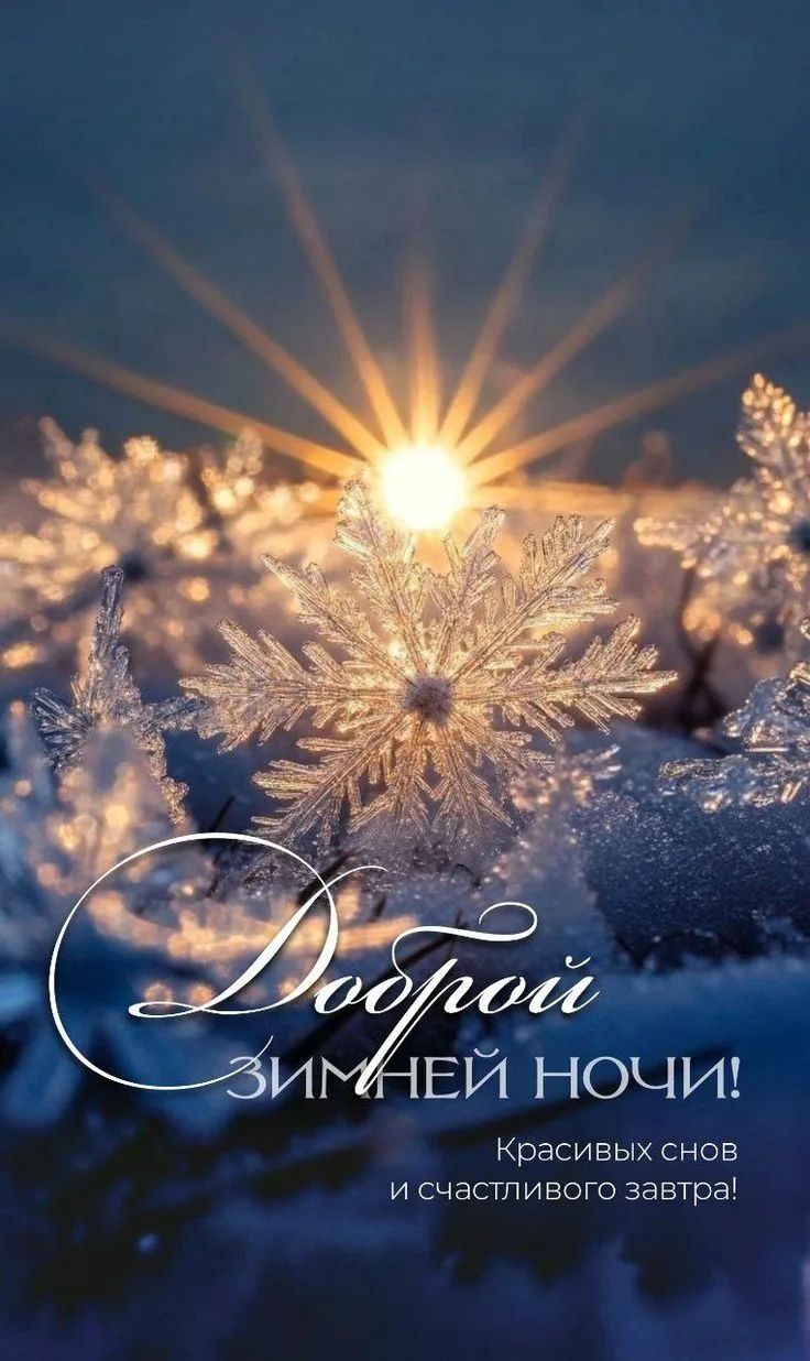 Доброй зимней ночи! Красивых снов и счастливого завтра!