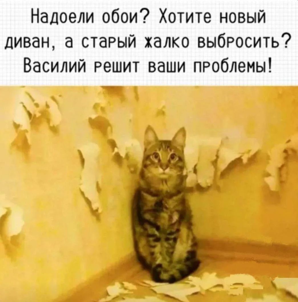 Надоели обои? Хотите новый диван, а старый халко выбросить? Василий решит ваши проблемы!