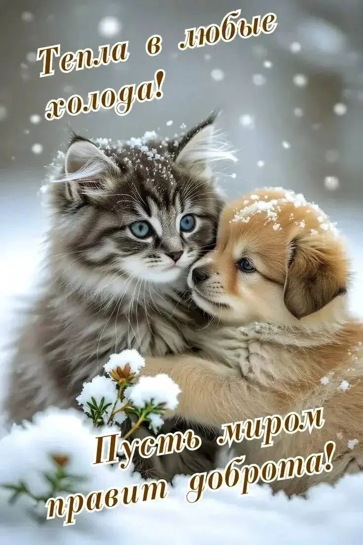 Тепла в любые годы! Пусть миром правит доброта!
