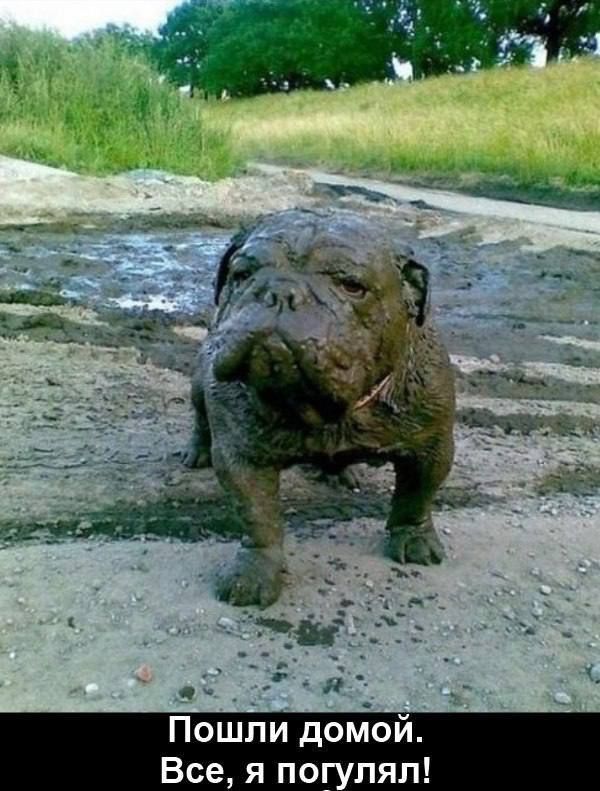 Пошли домой. Все, я погулял!