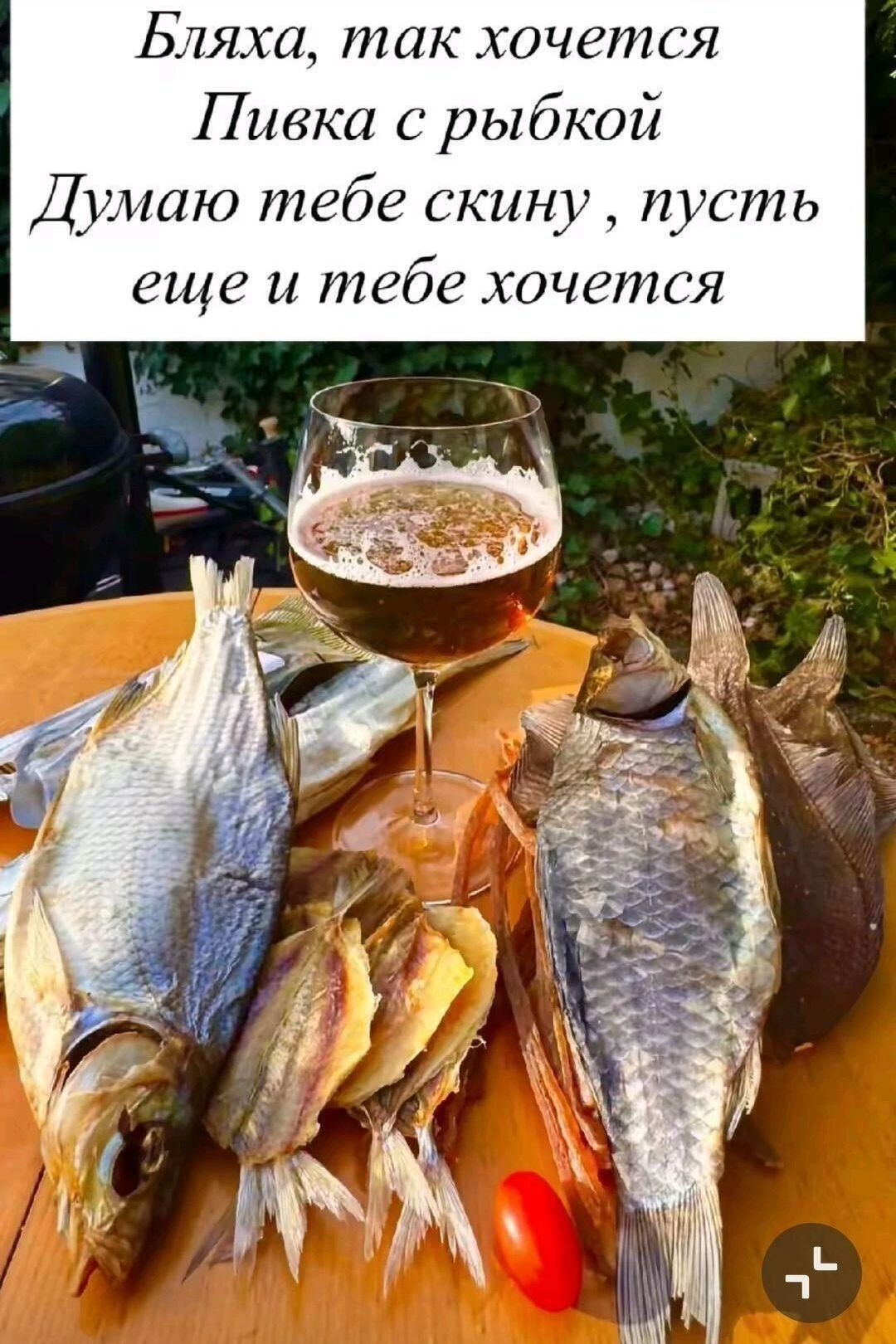 Бляха, так хочется
Пивка с рыбкой
Думаю тебе скину , пусть
ещё и тебе хочется