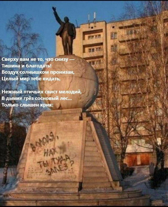 Сверху вам не то, что снизу —
Тишина и благодать!
Воздух солнышком пронзил,
Целый мир тебе видеть,
Нежный птичьих свист мелодий,
В дымке грёз сосновый лес...
Только слышен крик: