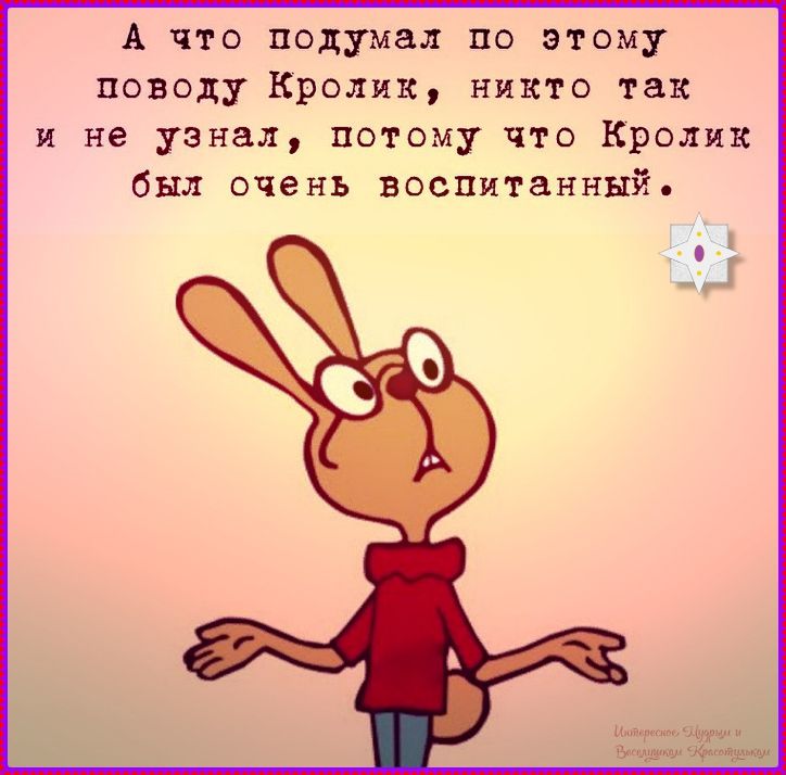 А что подумал по этому поводу Кролик, никто так и не узнал, потому что Кролик был очень воспитанный.