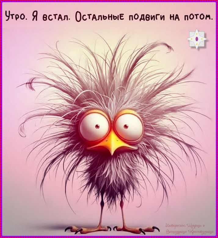 Утро. Я встал. Остальные подвиги на потом.