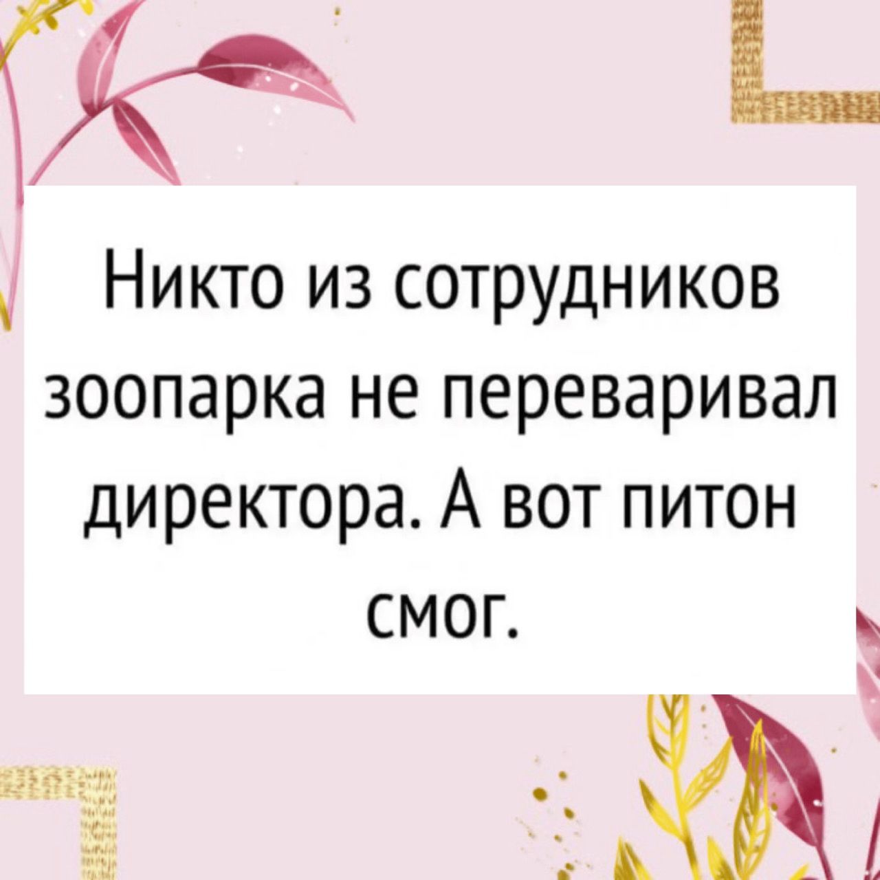 Никто из сотрудников зоопарка не переваривал директора. А вот питон смог.