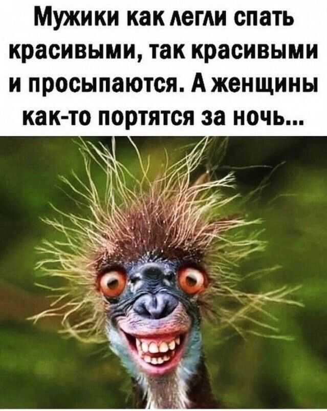 Мужики как легли спать красивыми, так красивыми и просыпаются. А женщины как-то портятся за ночь...