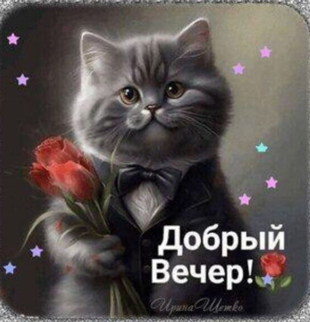 Добрый вечер!