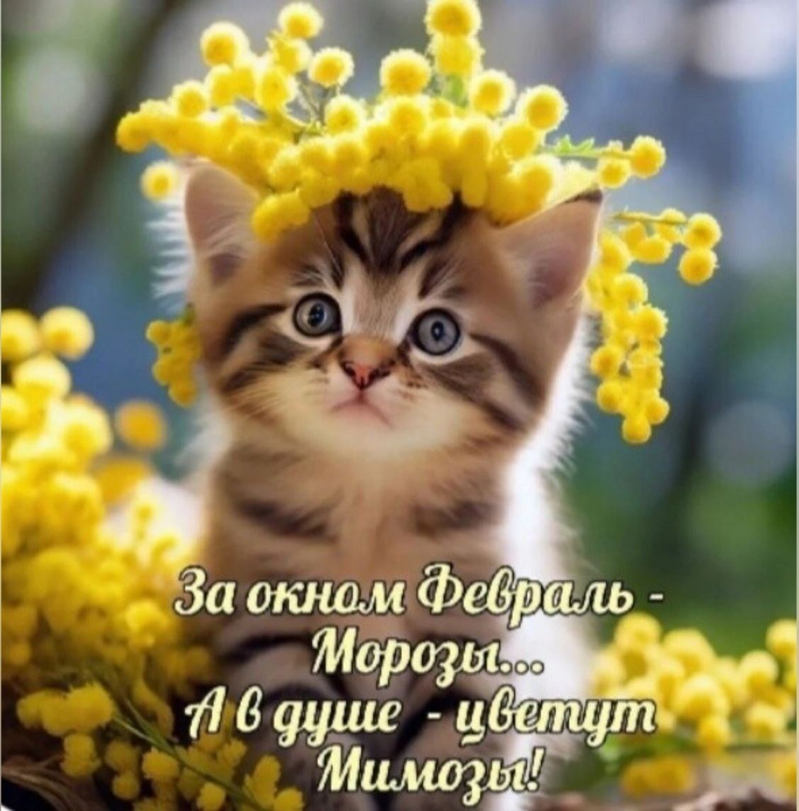 За окном Февраль - Морозы... А в душе - цветет Милозы!