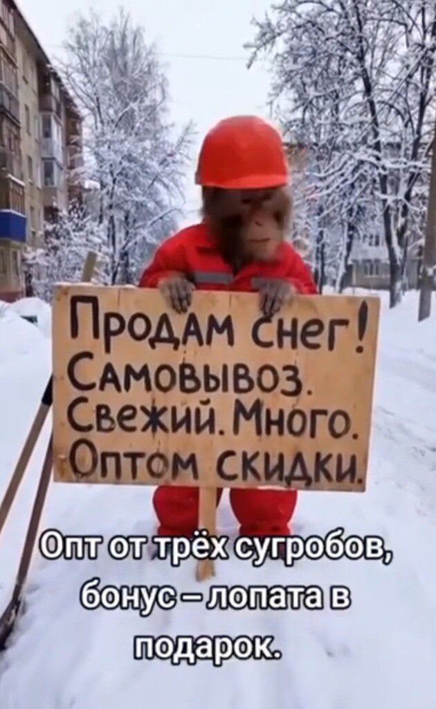 Продам снег! Самовывоз. Свежий. Много. Оптом скидки. Опт от трёх сугробов, бонус – лопата в подарок.