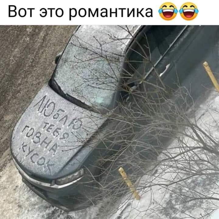 Люблю тебя