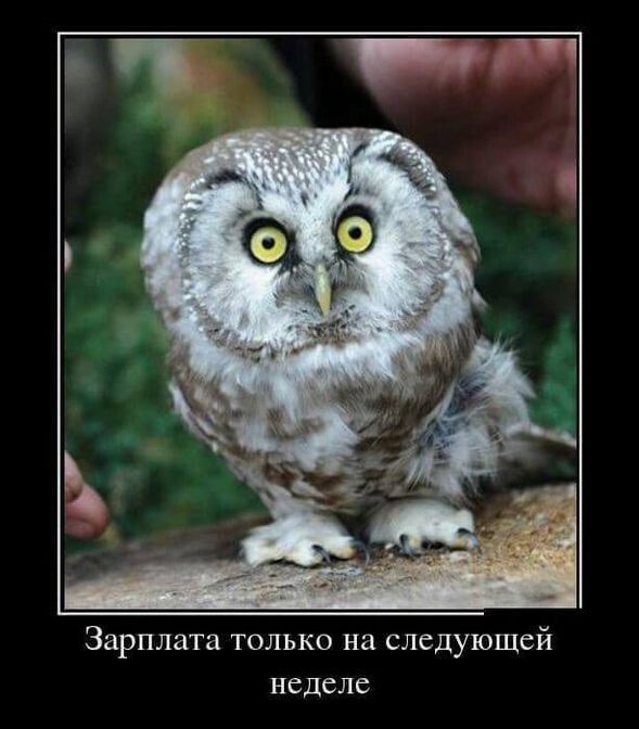 Зарплата только на следующей неделе