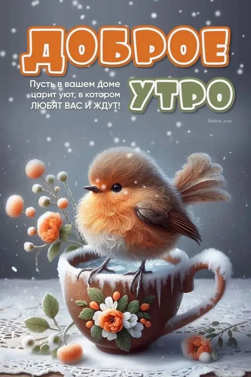 Доброе утро Пусть в вашем доме царит уют, в котором ЛЮБЯТ ВАС И ЖДУТ!