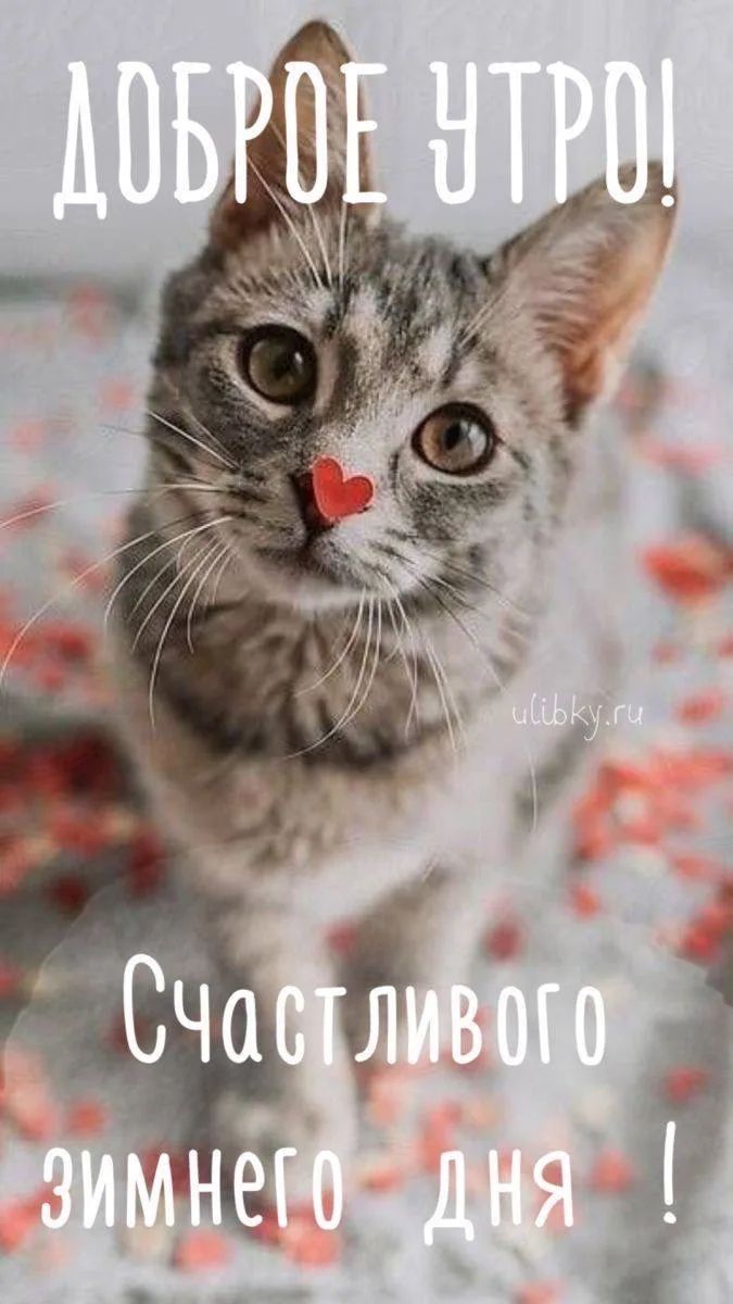 Доброе утро! Счастливого зимнего дня!