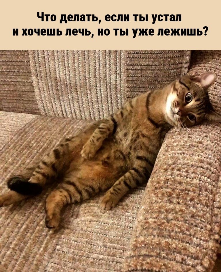 Что делать, если ты устал и хочешь лечь, но ты уже лежишь?