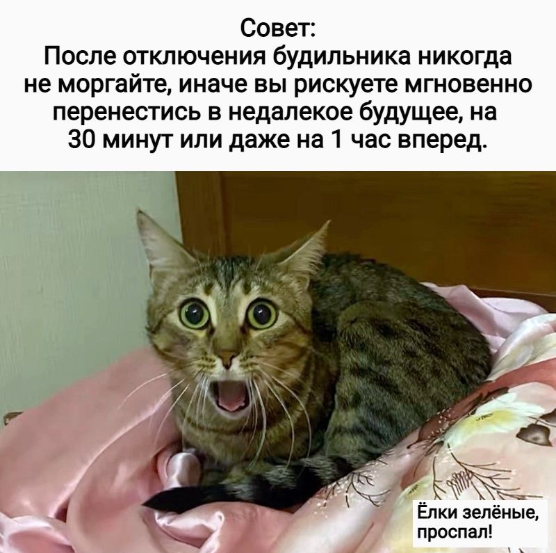 Совет: После отключения будильника никогда не моргайте, иначе вы рискуете мгновенно перенестись в недалекое будущее, на 30 минут или даже на 1 час вперед. Ёлки зелёные, пропал!