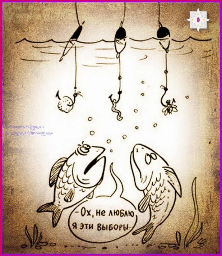 Ох, не люблю я эти выборы