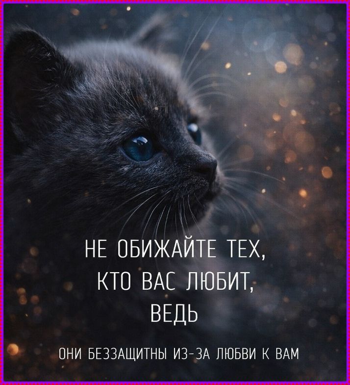 НЕ ОБИЖАЙТЕ ТЕХ, КТО ВАС ЛЮБИТ, ВЕДЬ ОНИ БЕЗЗАЩИТНЫ ИЗ-ЗА ЛЮБВИ К ВАМ