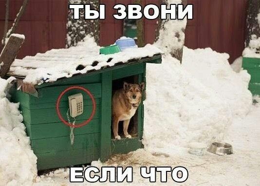 ТЫ ЗВОНИ ЕСЛИ ЧТО