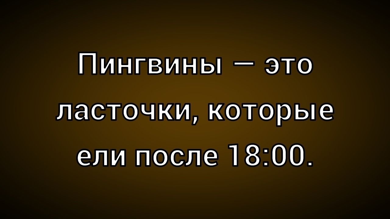 Пингвины — это ласточки, которые ели после 18:00.