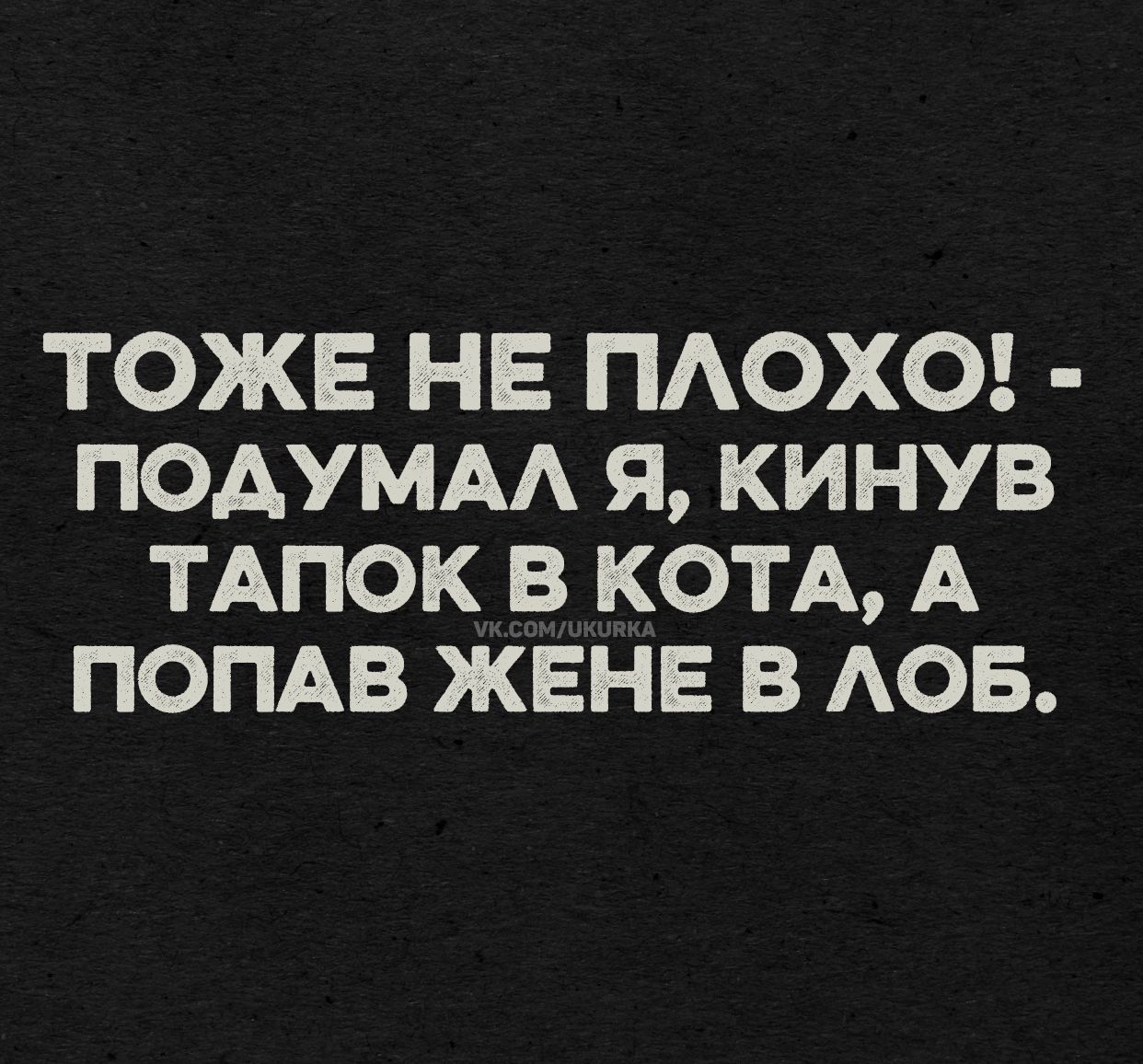 ТОЖЕ НЕ ПЛОХО! - ПОДУМАЛ Я, КИНУВ ТАПОК В КОТА, А ПОПАВ ЖЕНЕ В ЛОБ.