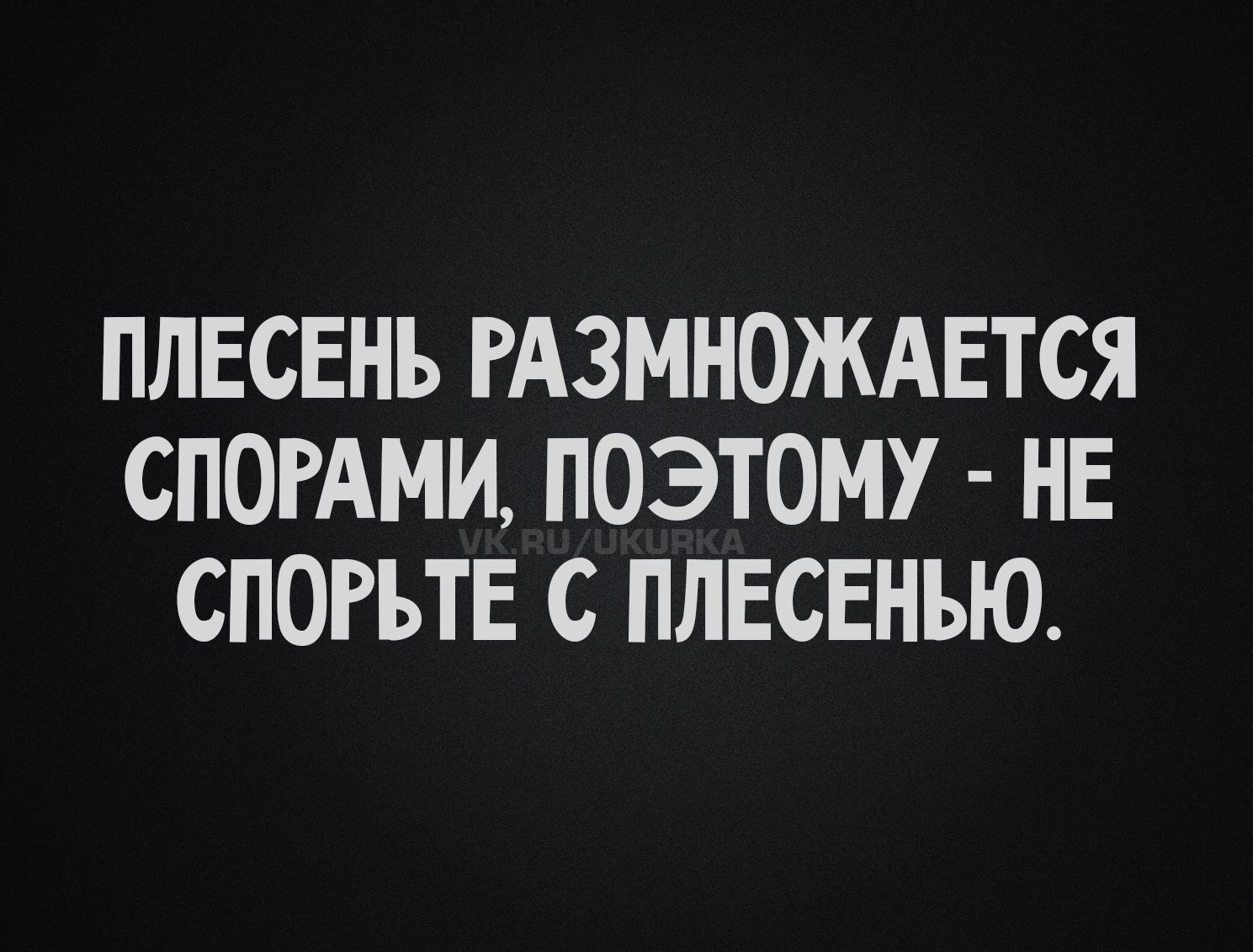 ПЛЕСЕНЬ РАЗМНОЖАЕТСЯ СПОРАМИ, ПОЭТОМУ - НЕ СПОРЬТЕ С ПЛЕСНЕЮ.