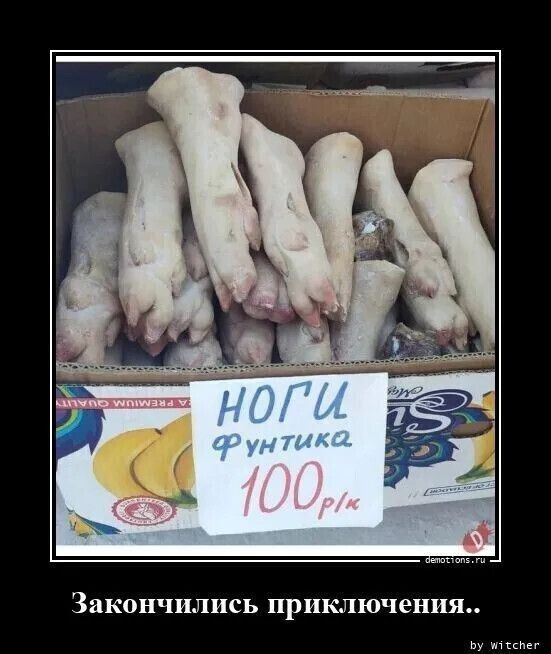 НОГИ Фунтика 100р/кг  // Закончились приключения..