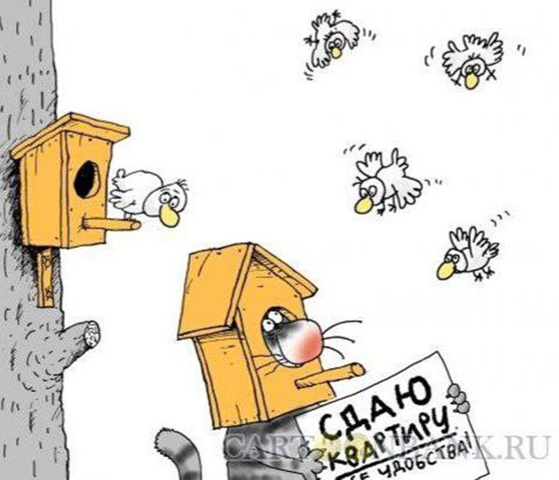 СДАЮ КВАРТИРУ