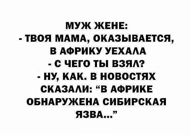 МУЖ ЖЕНЕ: - ТВОЯ МАМА, ОКАЗЫВАЕТСЯ, В АФРИКУ УЕХАЛА - С ЧЕГО ТЫ ВЗЯЛ? - НУ, КАК. В НОВОСТЯХ СКАЗАЛИ: 'В АФРИКЕ ОБНАРУЖЕНА СИБИРСКАЯ ЯЗВА...'