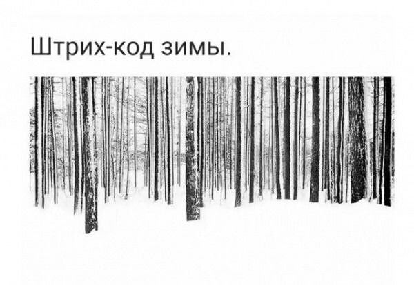 Штрих-код зимы.