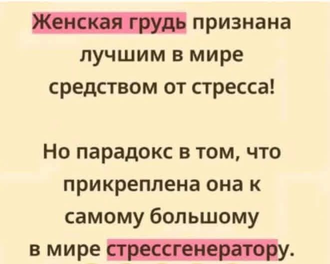 Женская грудь признана лучшим в мире средством от стресса! Но парадокс в том, что прикреплена она к самому большому в мире стрессгенератору.