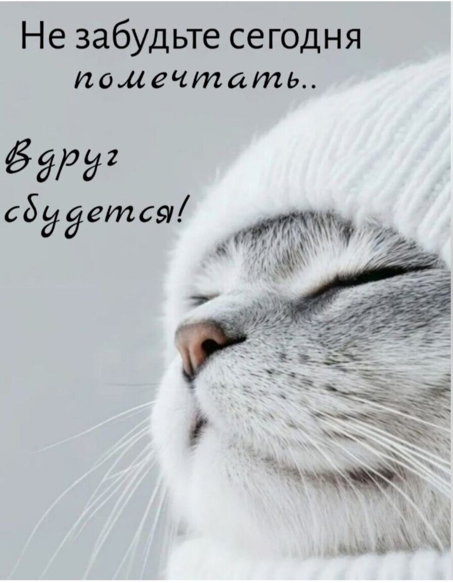 Не забудьте сегодня помечтать.. Вдруг сбудется!