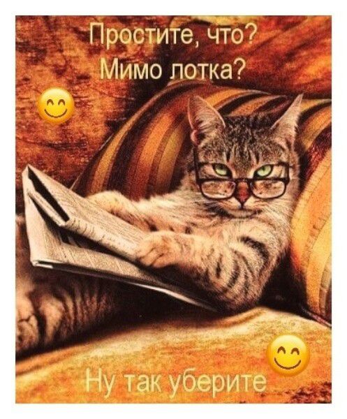 Простите, что? Мимо лотка? 😊 Ну так уберите 😊