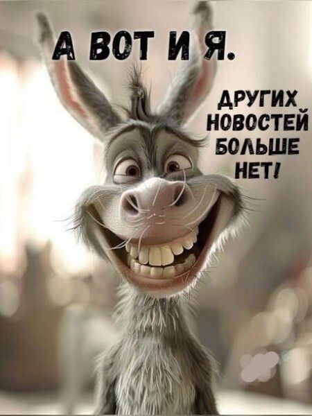 А вот и я. Других новостей больше нет!