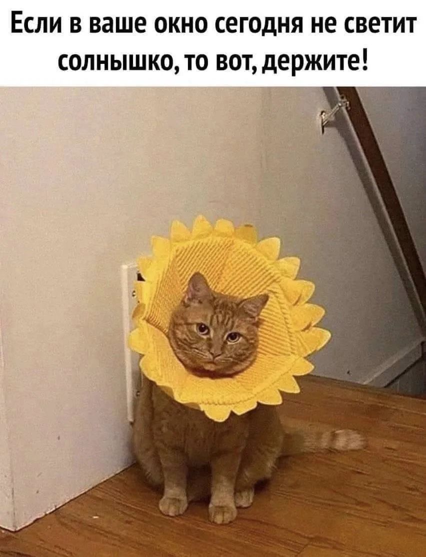 Если в ваше окно сегодня не светит солнышко, то вот, держите!